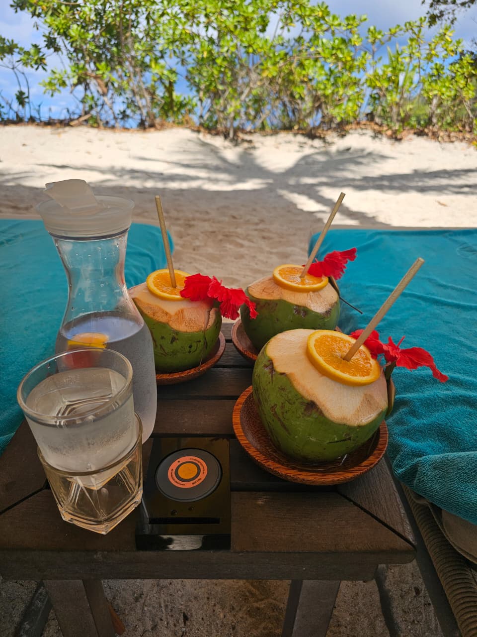 5 фактов о Сейшельских островах image preview