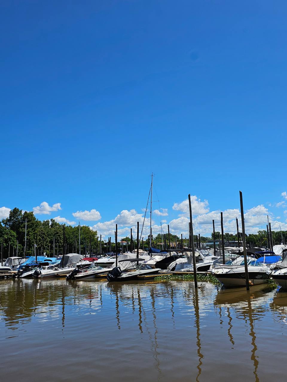 Прогулка на катере в Тигре с ностальгией image preview